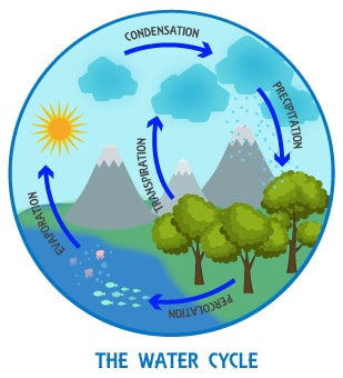 water cycle, transpiration, evaporation, condensation, conservation of water, drought, floods, rainwater harvesting, water, NCERT science class 6